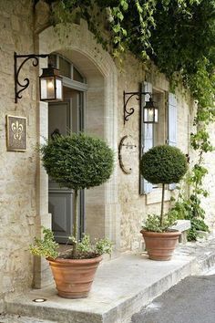 two potted plants on the outside of a house