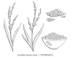 an image of rice in a bowl