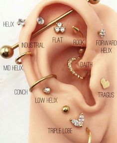 an ear with different types of piercings on it