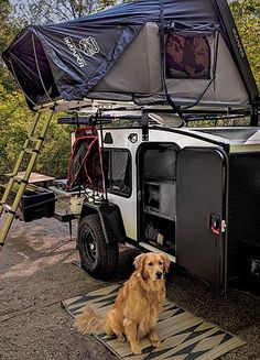 a dog sitting in front of a camper with its door open and the roof up