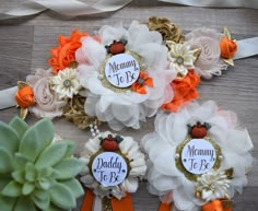 three baby headbands with name tags on them and some flowers in the middle