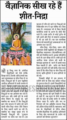 an article in the hindu newspaper about buddhas and their origins, with text on it