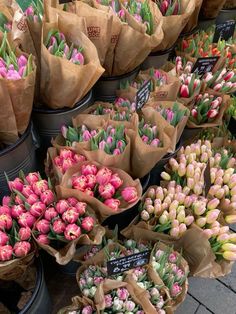 many tulips are in brown paper bags on the ground next to each other