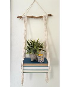 a hanging shelf with two potted plants on it