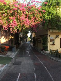 an empty street with tables and chairs on both sides, lined with flowering trees in the background