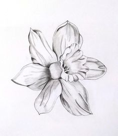 a black and white drawing of a flower on a sheet of paper with watercolor pencils