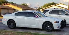 two white police cars parked on the side of the road in front of some houses