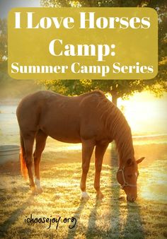 a horse grazing on grass in the sun with text overlay that reads, click for class info register