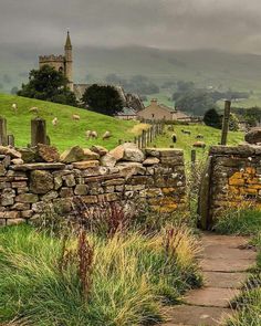 an old stone fence with sheep grazing in the background