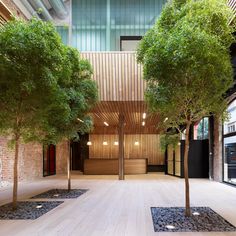 an indoor courtyard with trees and benches