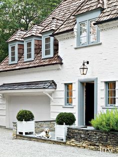 a white house with blue shutters and two dogs sitting in the front yard area