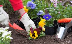 a person is digging in the dirt with gardening tools and pans full of flowers