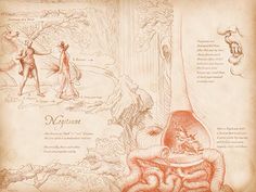 an old paper with drawings on it showing the various stages of human development and how to use them