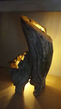 two pieces of driftwood are lit up by the light coming from behind one piece