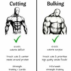 the differences between cutting and bulking