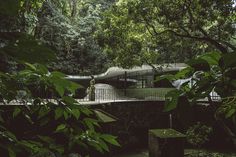 the house is surrounded by trees and greenery