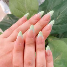 𝐍𝐚𝐢𝐥𝐬 𝐁𝐲 𝐉𝐞𝐧𝐧𝐲 ♡ on Instagram “💚💚 •• lime green french long gel x Nails Goddess, Outline Nails, Green French Tip Nails, Green French Tip, French Almond, Acrylic Nails Almond Shape, Almond Nails French, Mint Green Nails, Long Almond Nails