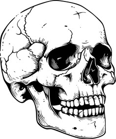 a black and white drawing of a human skull