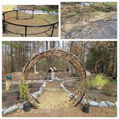 four different views of an outdoor garden with various plants and trees in it, including a circular