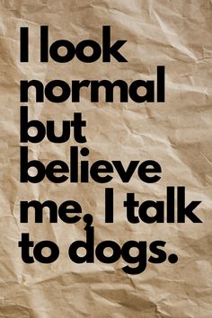 a piece of paper with the words i look normal but believe me i talk to dogs