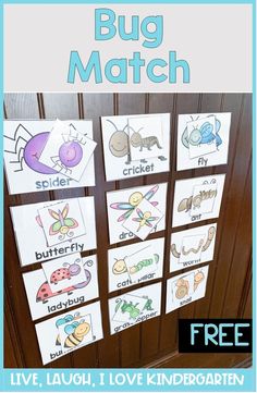 the bug match is an easy way to teach kids about bugs