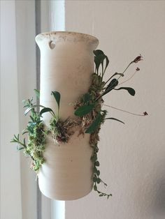 a white vase filled with plants on top of a window sill next to a wall