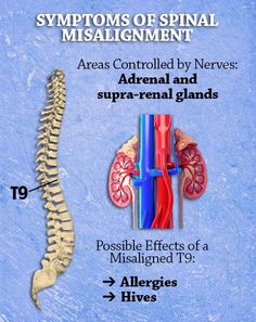 T9 Dermatone Chart, Bladder Meridian Points, Ascending Tracts Of Spinal Cord, Spinal Column