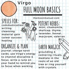 Charge Tarot Cards, Herbs Of Gemini, Herb Magic, Moon Core, Zodiac Houses, Plan Journal, Moon Magick, Medical Herbs