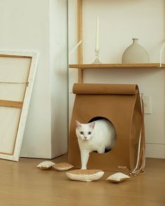 a white cat in a cardboard box on the floor