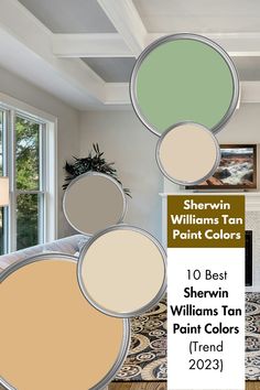 the color scheme for sherylin williams tan paint colors