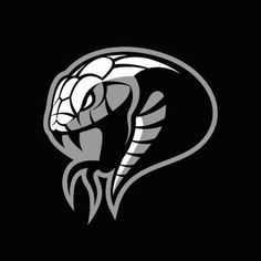 the head of a snake on a black background