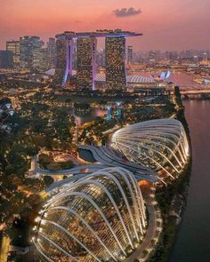 Beautiful Place Singapore Vacation, Singapore Skyline, Sands Singapore, Singapore Photos, Singapore City, Singapore Travel, Gardens By The Bay