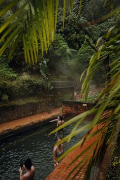 people are swimming in a pool surrounded by greenery