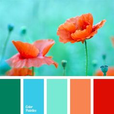 an orange and green color scheme with two poppies in the middle, one on top of