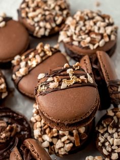 chocolate macaroni and cheese cookies with nuts on top