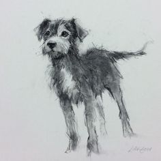 a black and white drawing of a dog