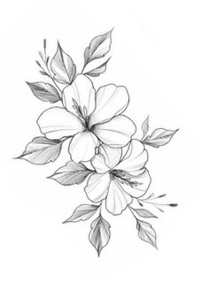 a pencil drawing of flowers on a white background