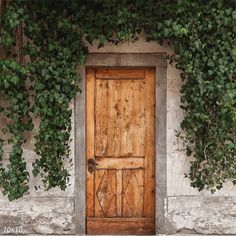 an old wooden door surrounded by ivy