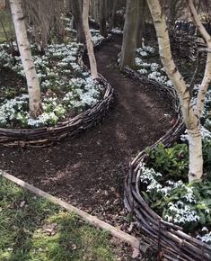 a garden with white flowers and trees in the background, surrounded by dirt path leading up to