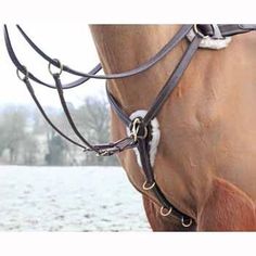 a brown horse standing on top of a snow covered field