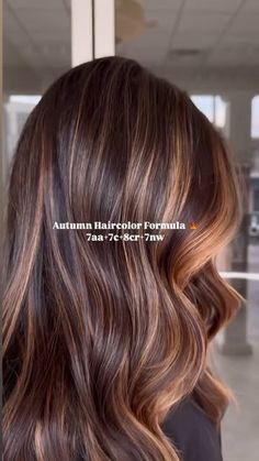 behindthechair.com on Instagram: "* Well, this is STUNNING! 🤌🏼🍂🍂🍂 ... by @suetyrrellstylist  —— All tones of Autumn 🍂 Save this formula for your next hair color inspiration   fallhaircolor, fallhair, hair inspo   #haircolorideas #fallhair #autumnhair   @redkenpro  @ghd_northamerica  @k18hair #btcsuetyrrellstylist" Copper Formula Shades Eq, Hair Color Inspiration, Color Formulas, Get Toned, Hair Inspiration Color