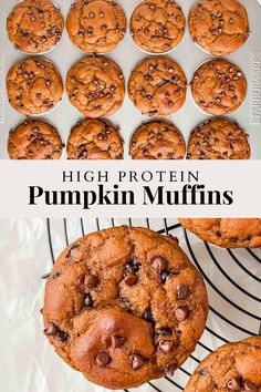 high protein pumpkin muffins with chocolate chips on top