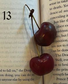 two cherries are attached to the end of an open book with numbers on it