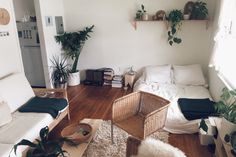 a living room filled with furniture and lots of plants