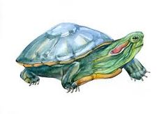 a watercolor painting of a turtle with its mouth open