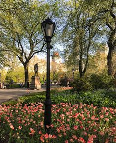 a lamp post sitting in the middle of a park filled with lots of pink flowers