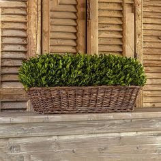 a basket that is sitting on top of a ledge next to a window with shutters