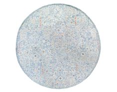 a round rug with blue and pink flowers on the bottom, in front of a white background