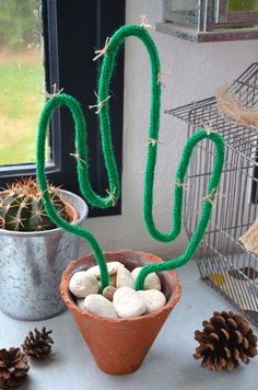 a cactus in a pot next to some pine cones