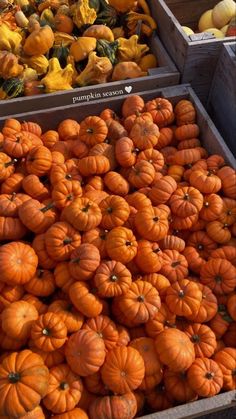 Pumpkin Seasoning, Fall Pictures, Fall Aesthetic